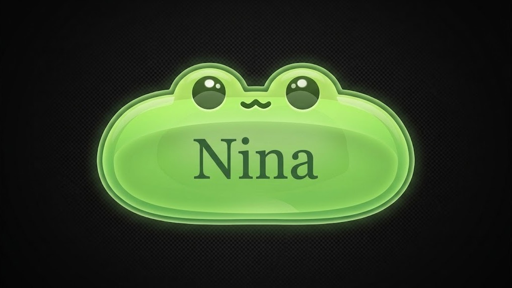 بنر سرور دیسکورد nina