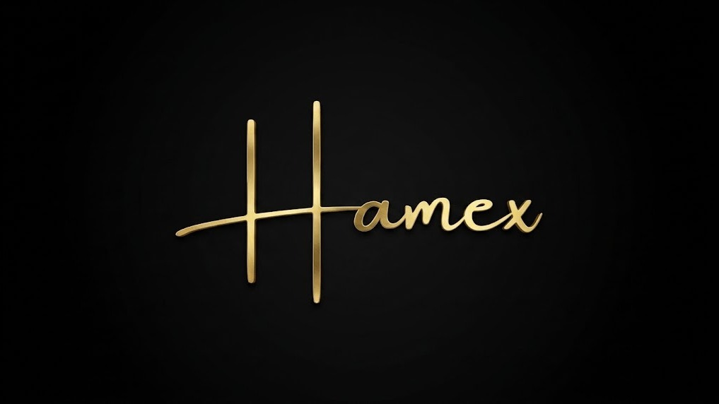 بنر سرور دیسکورد HameX
