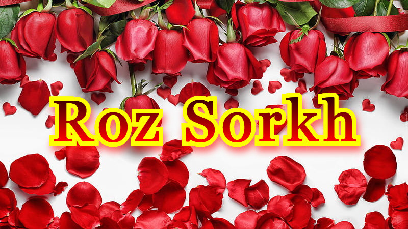 بنر سرور دیسکورد Roz Sorkh